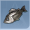 银鲈鱼