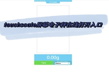 touchscale屏幕电子秤在线打开入口