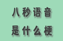 八秒语音是什么意思