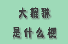 大貔貅是什么梗