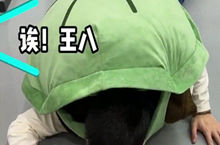 许愿池里的王八啥意思