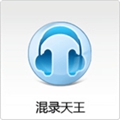 混录天王