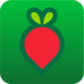 叮咚买菜app