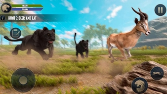 荒野豹动物生活模拟
