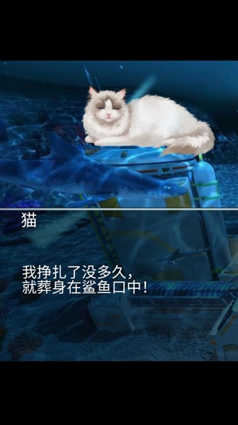 猫生煎熬游戏官方版 v1.00.07