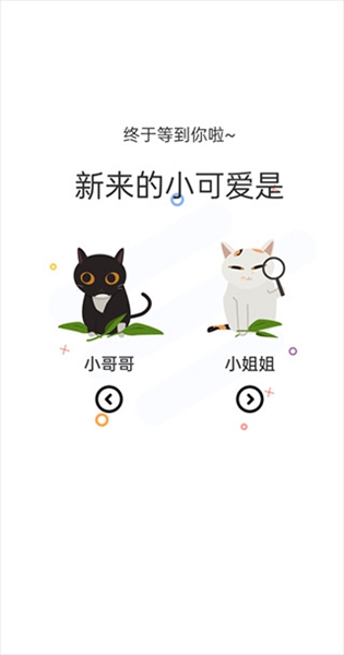 猫上漫画